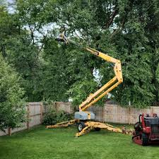 Best Firewood Processing and Delivery  in Lucerne Valley, CA
